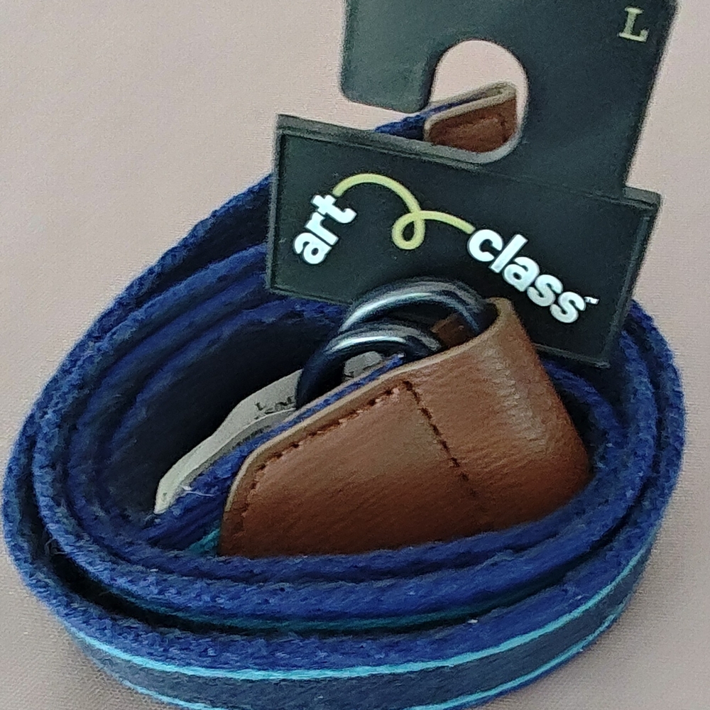 Art Class Blue and Brown Belt